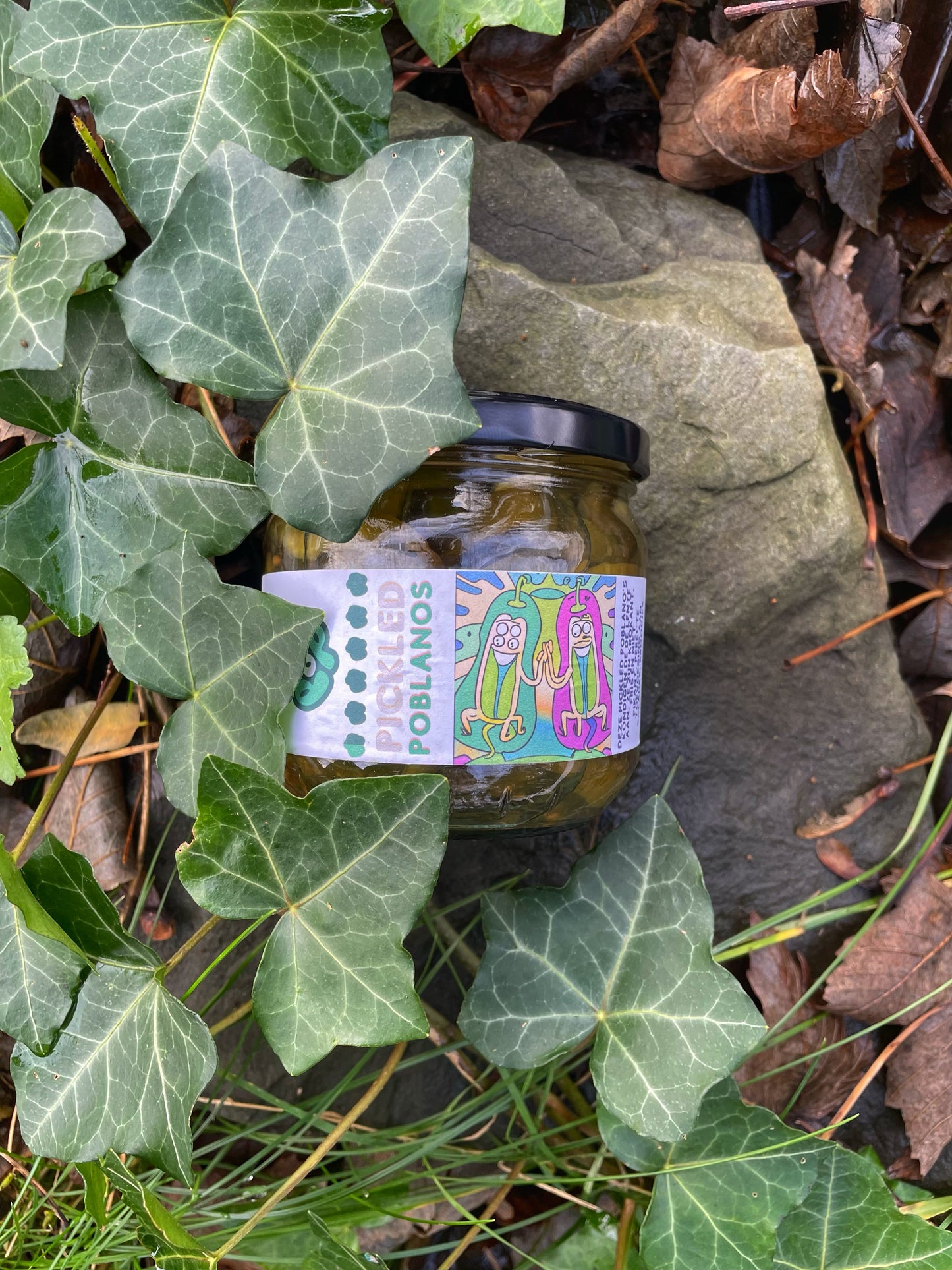 Pickled Green Poblano Peppers