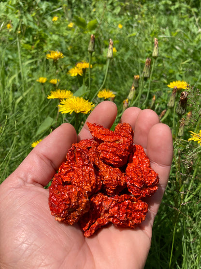 Dried Naga Morich Peppers - 30g