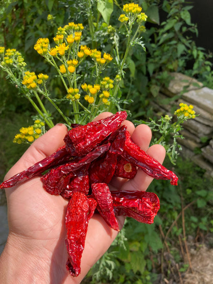 Dried Fresno Peppers - 40g